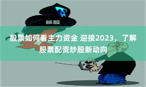 股票如何看主力资金 迎接2023,了解股票配资炒股新动向