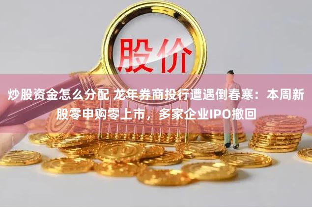 炒股资金怎么分配 龙年券商投行遭遇倒春寒:本周新股零申购零上市,多家企业IPO撤回