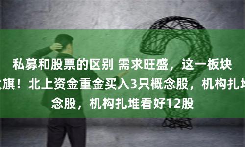 私募和股票的区别 需求旺盛,这一板块扛起反弹大旗!北上资金重金买入3只概念股,机构扎堆看好12股