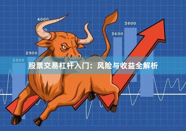 股票交易杠杆入门：风险与收益全解析